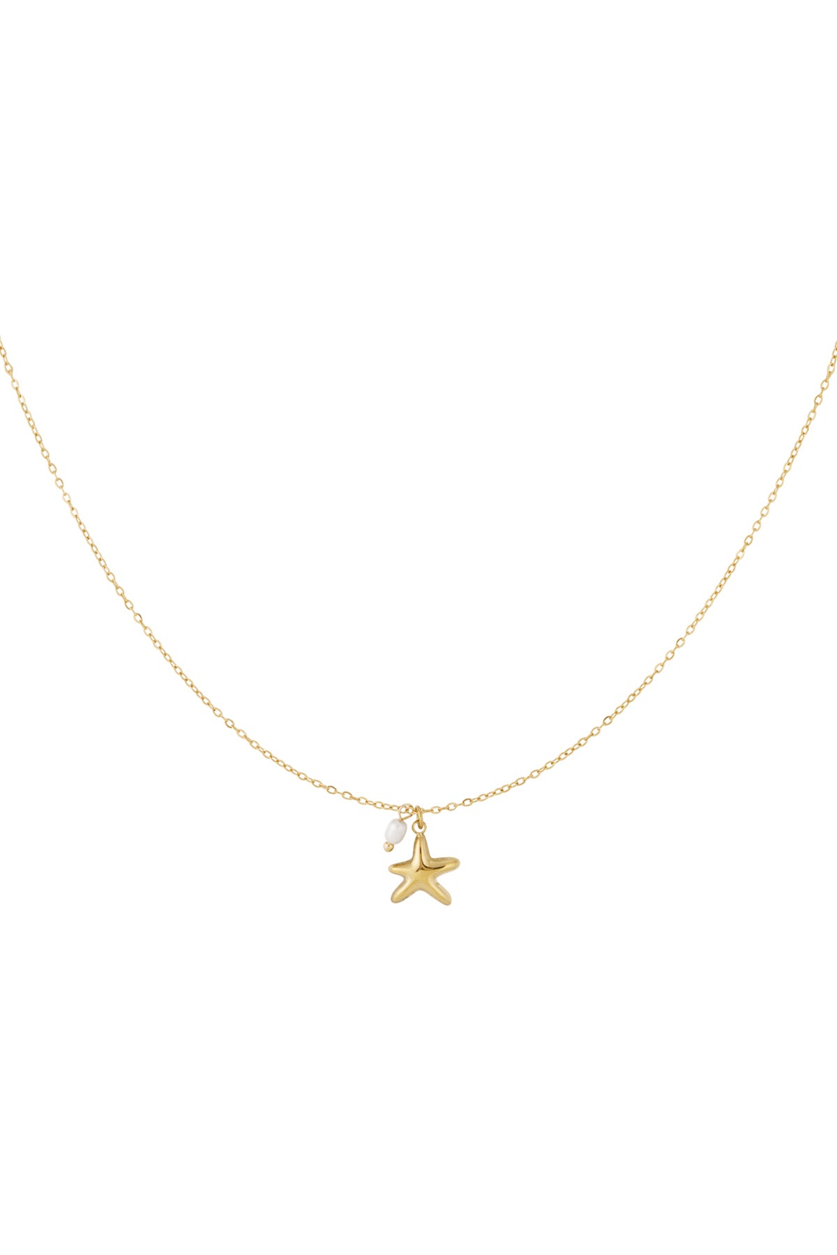 Ketting met zeesterbedel