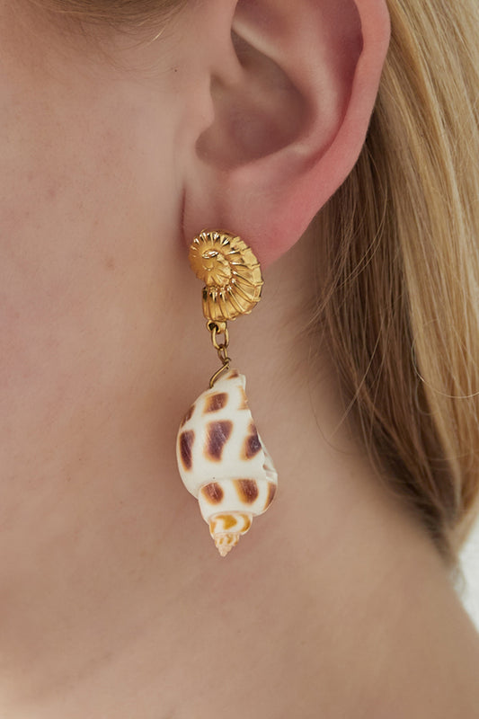Oorbellen met schelpjes