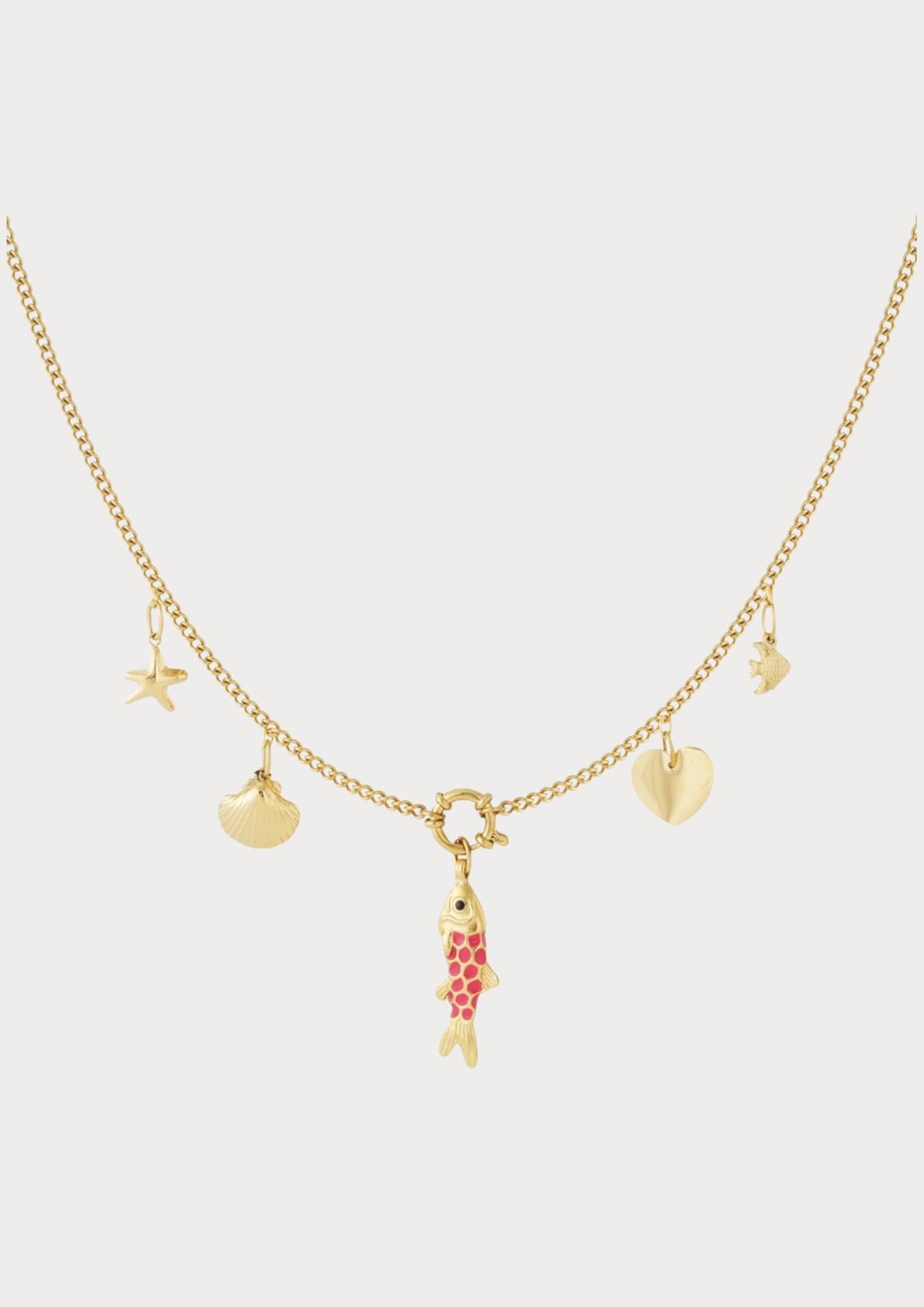 Ketting met 5 verwisselbare bedels