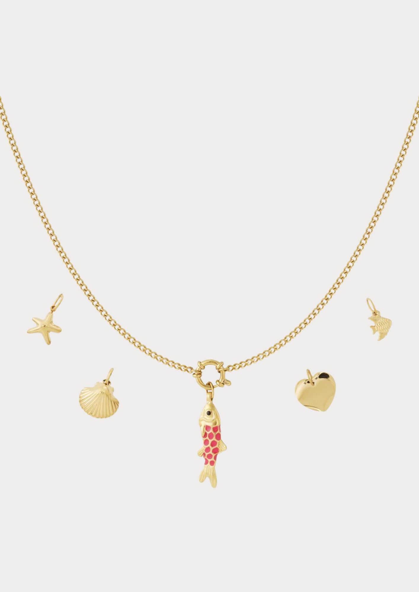 Ketting met 5 verwisselbare bedels