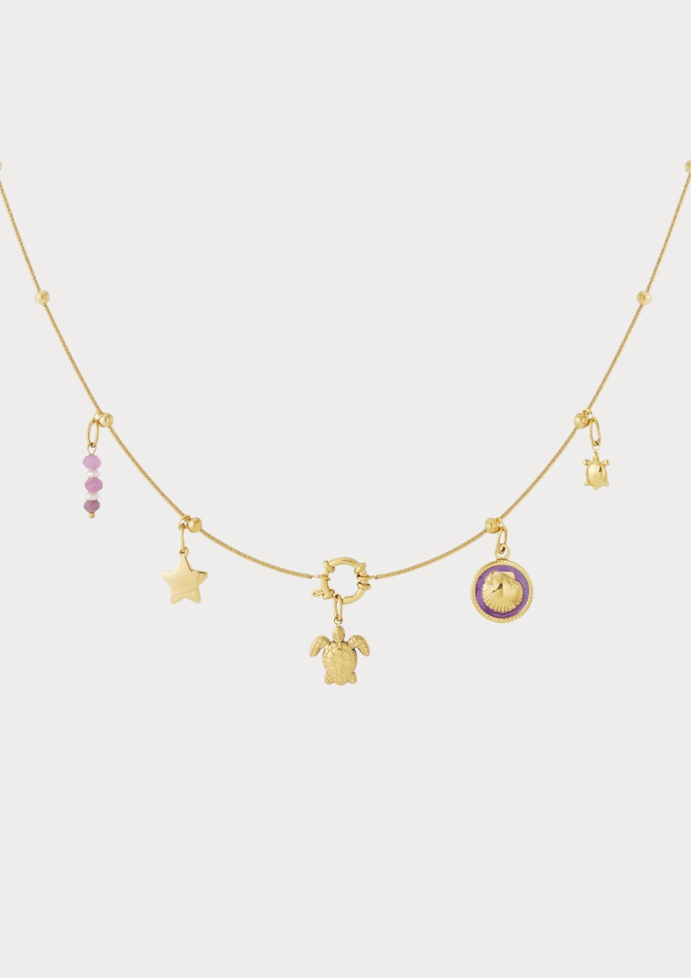 Ketting met 5 verwisselbare bedels