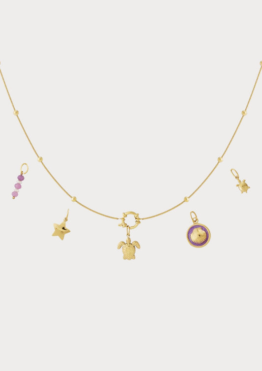 Ketting met 5 verwisselbare bedels
