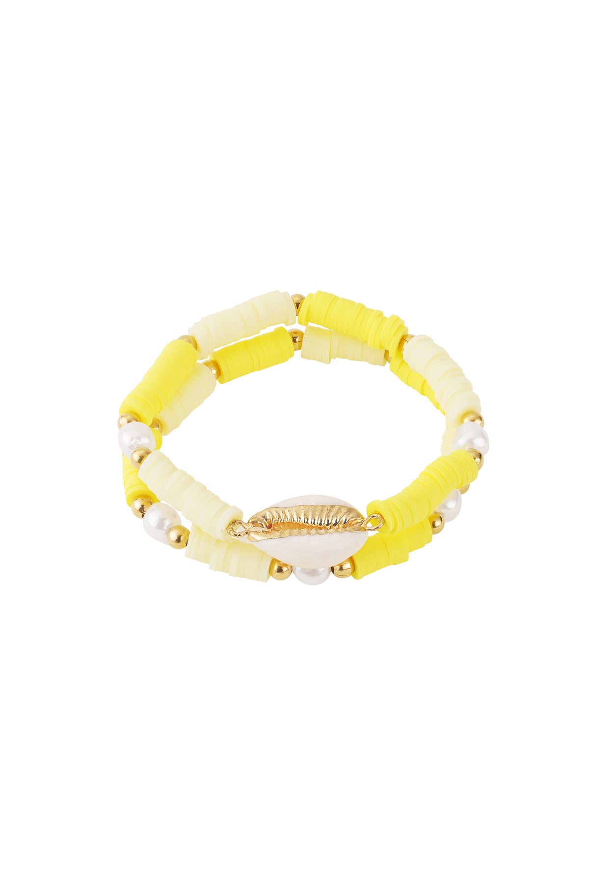 Dubbellaagse kauri-schelp armband