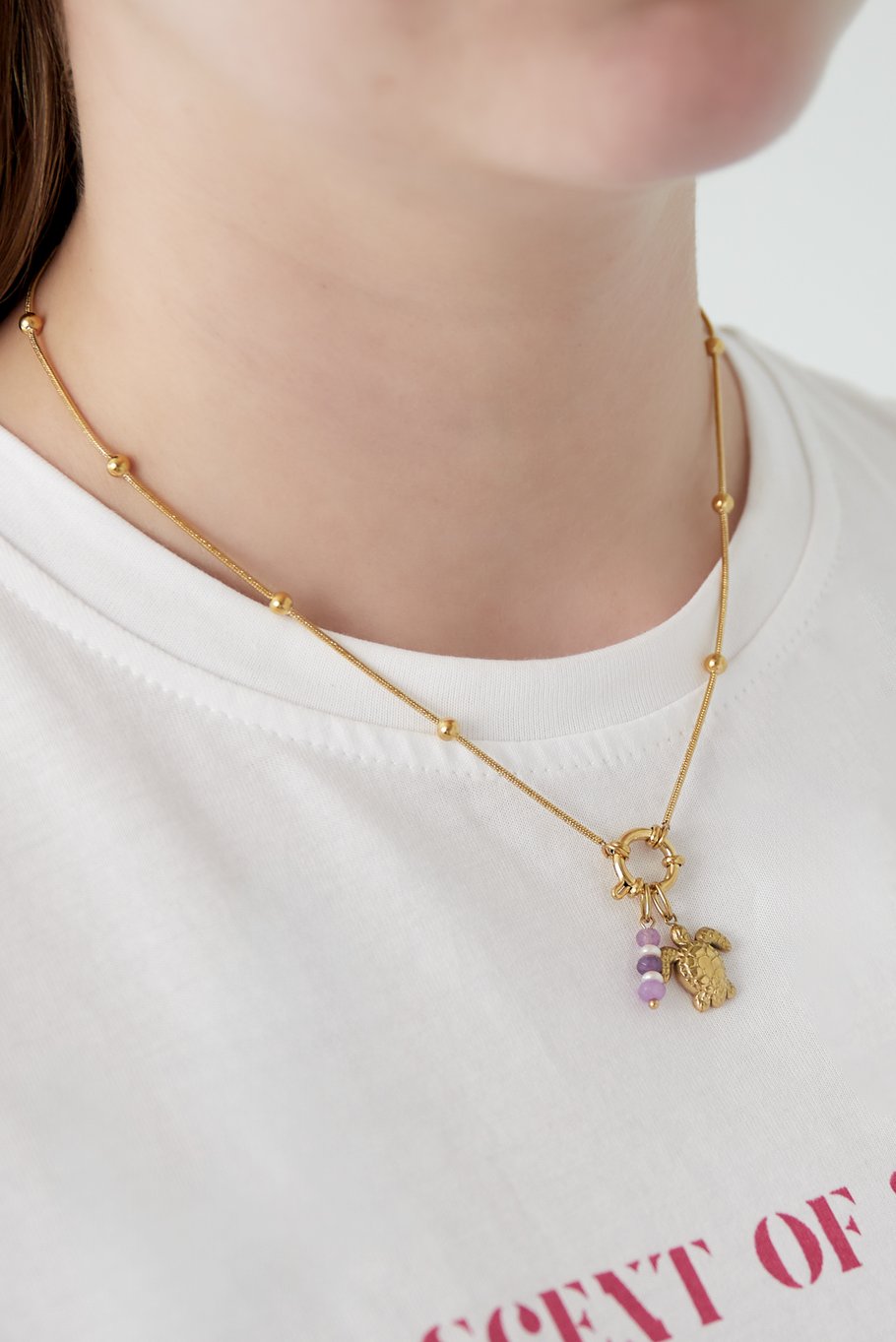 Ketting met 5 verwisselbare bedels